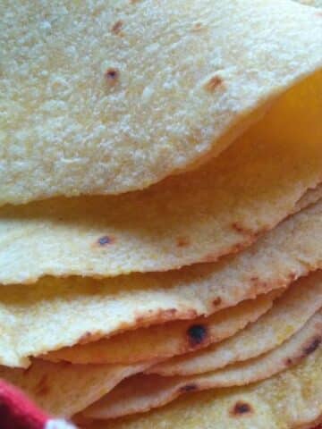 Homemade Corn Tortillas