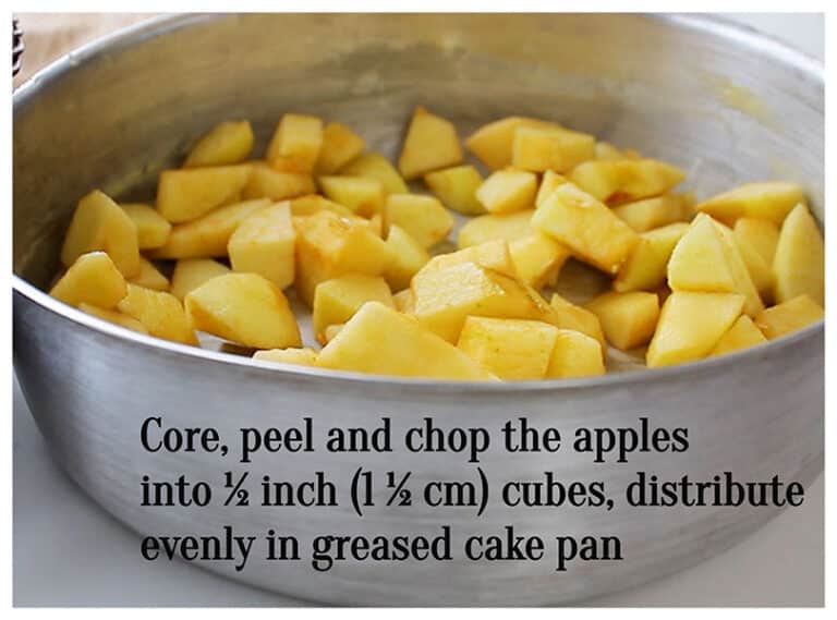 Apple Blender Cake Super easy, no bowls, no whisk, no beaters! ⋆ The