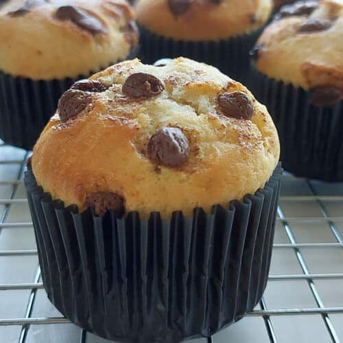 Quick Easy Chocolate Chip Muffins without eggs ⋆ The Gardening Foodie