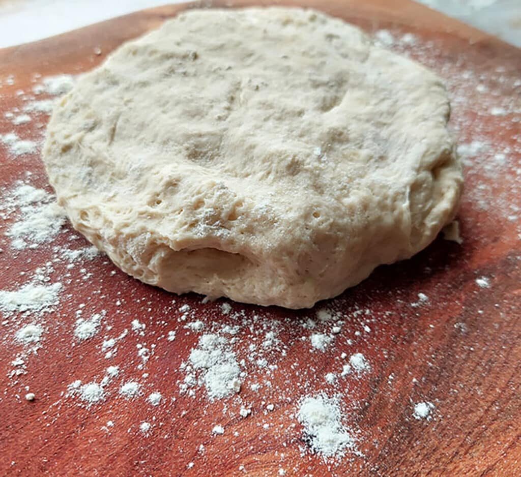 Turn onto a floured surface and knead for 2 minutes