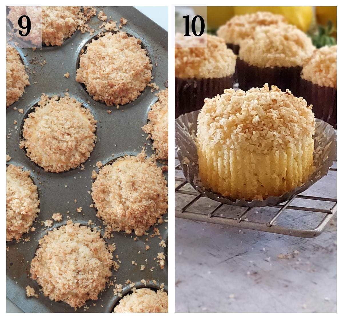 Easy Lemon Coconut Crumb Muffins (no butter, no milk) ⋆ The Gardening