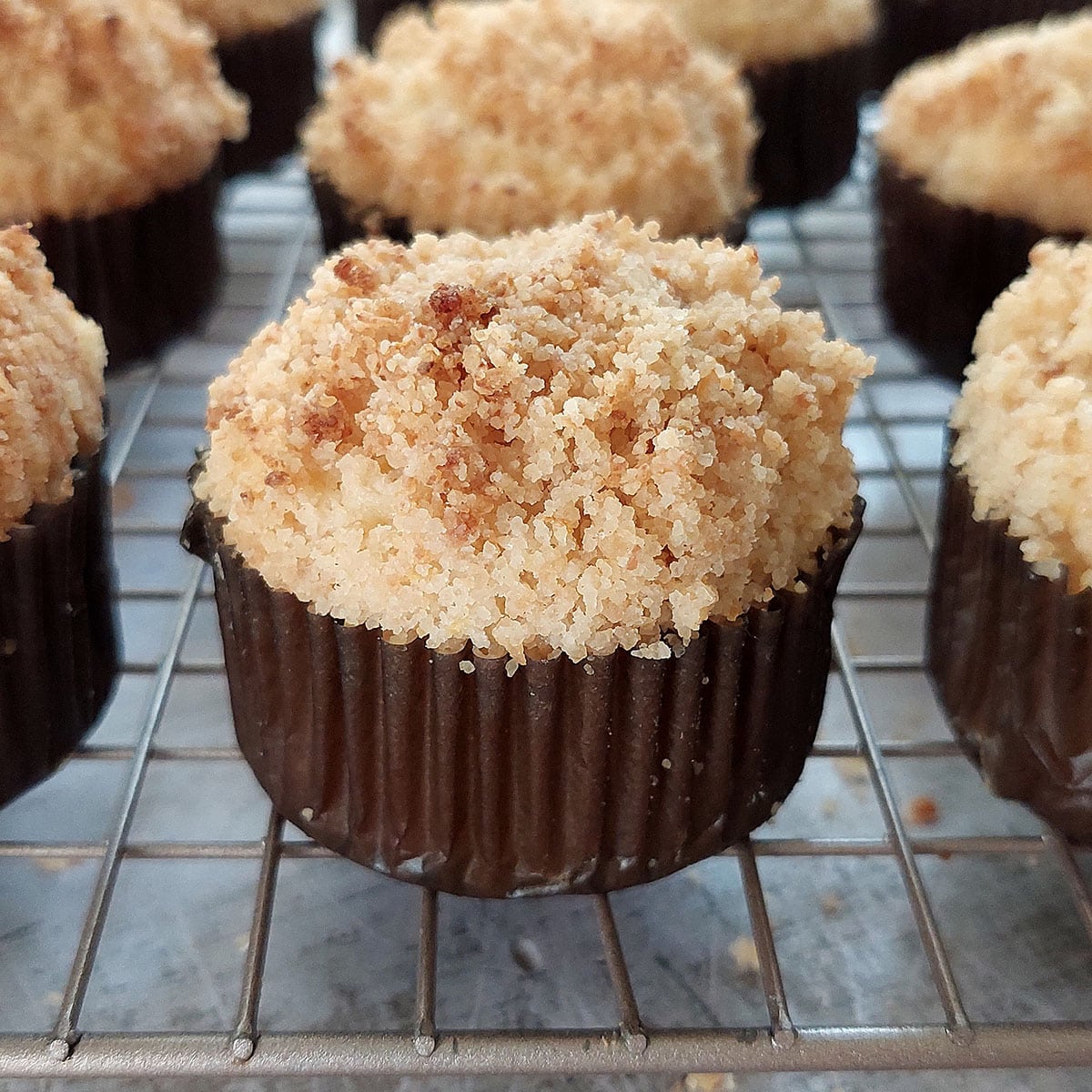 Easy Lemon Coconut Crumb Muffins (no butter, no milk) ⋆ The Gardening