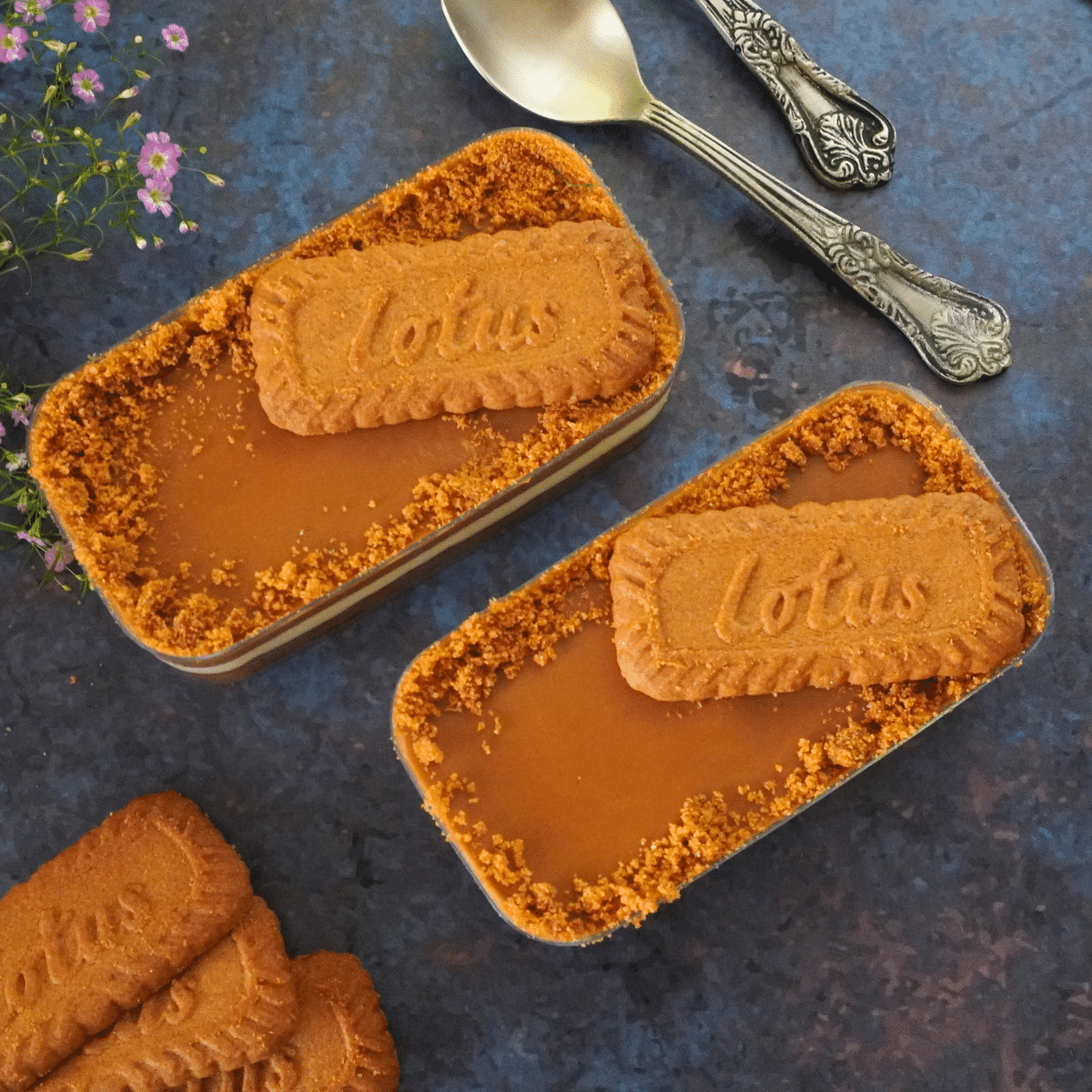 Biscoff Tiramisu, a dessert of ultimate decadence! With the combination of  cinnamon-spicy-caramel flavors of Biscoff cookies, layered with coffee, and whipped cream this is a simple yet indulgent twist on the Italian classic treat. 
