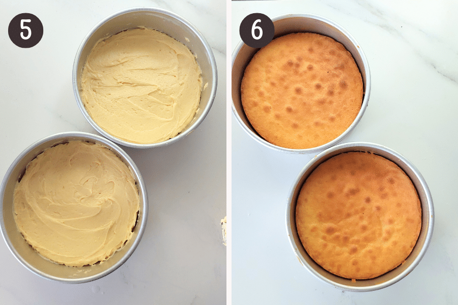 steps 5 and 6