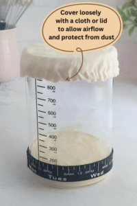 Sourdough Starter for Beginners: a simple guide