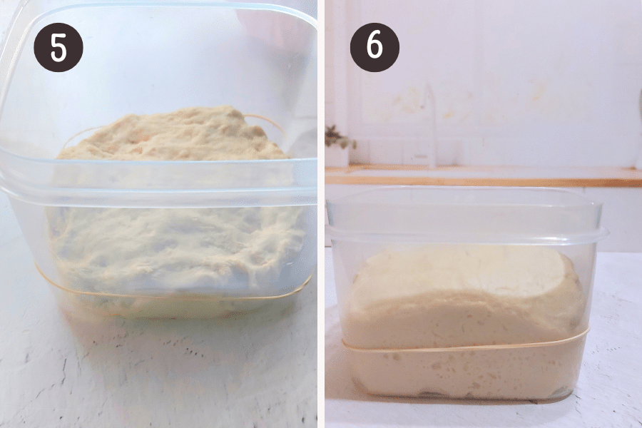 After 30 minutes, knead the dough by hand or with a stand mixer fitted with a dough hook for 5-7 minutes, until it’s smooth. Then, transfer it to a clear container or bowl, marking the dough’s starting height with a rubber band to track its rise.
Cover and let the dough rest at room temperature (21-23°C / 70-74°F) for about 3 hours, or until it doubles in size.