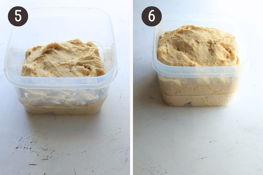 steps 5 and 6