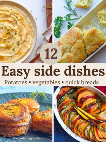 12 easy side dishes collection