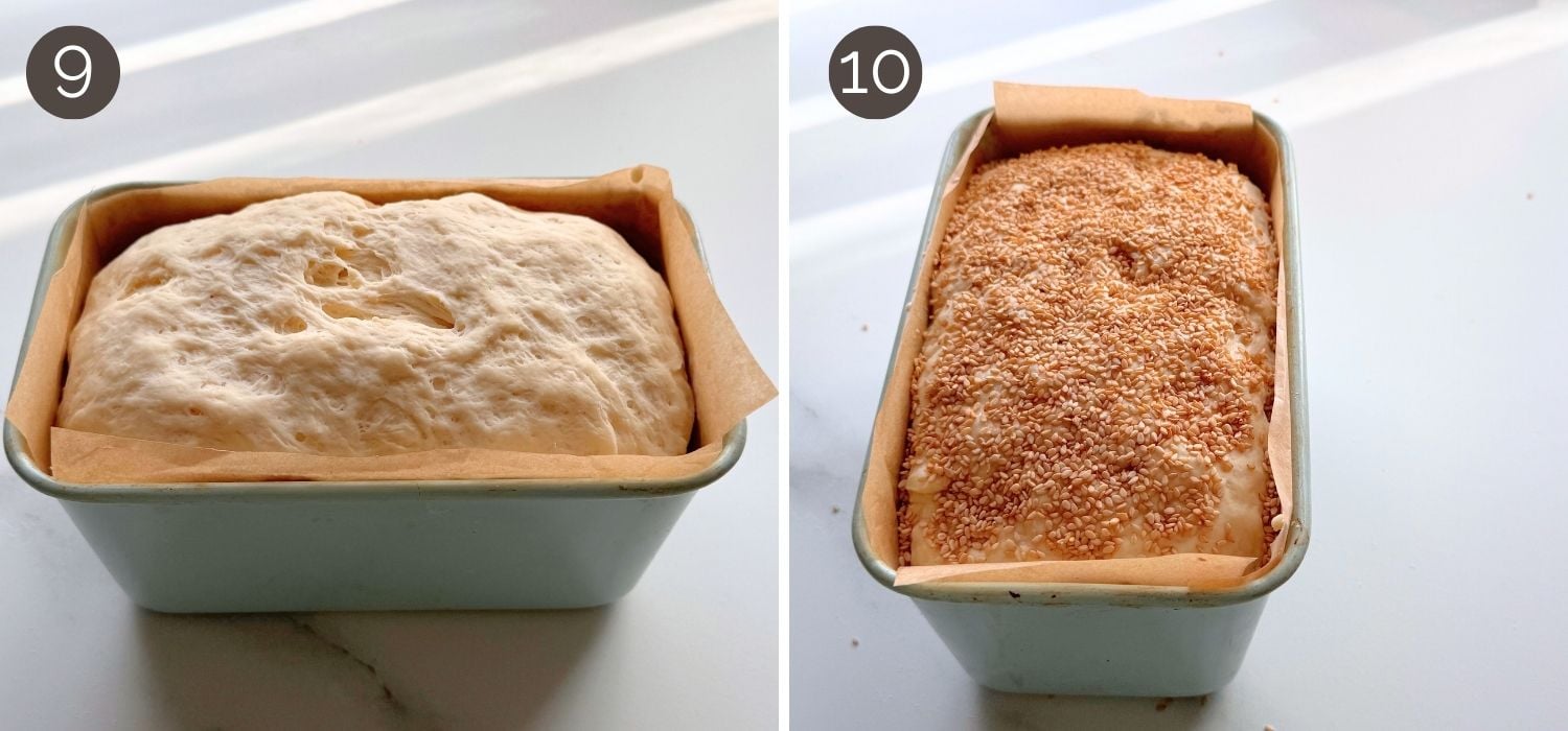 No-knead buttermilk bread dough risen in a loaf pan, plain and topped with sesame seeds before baking