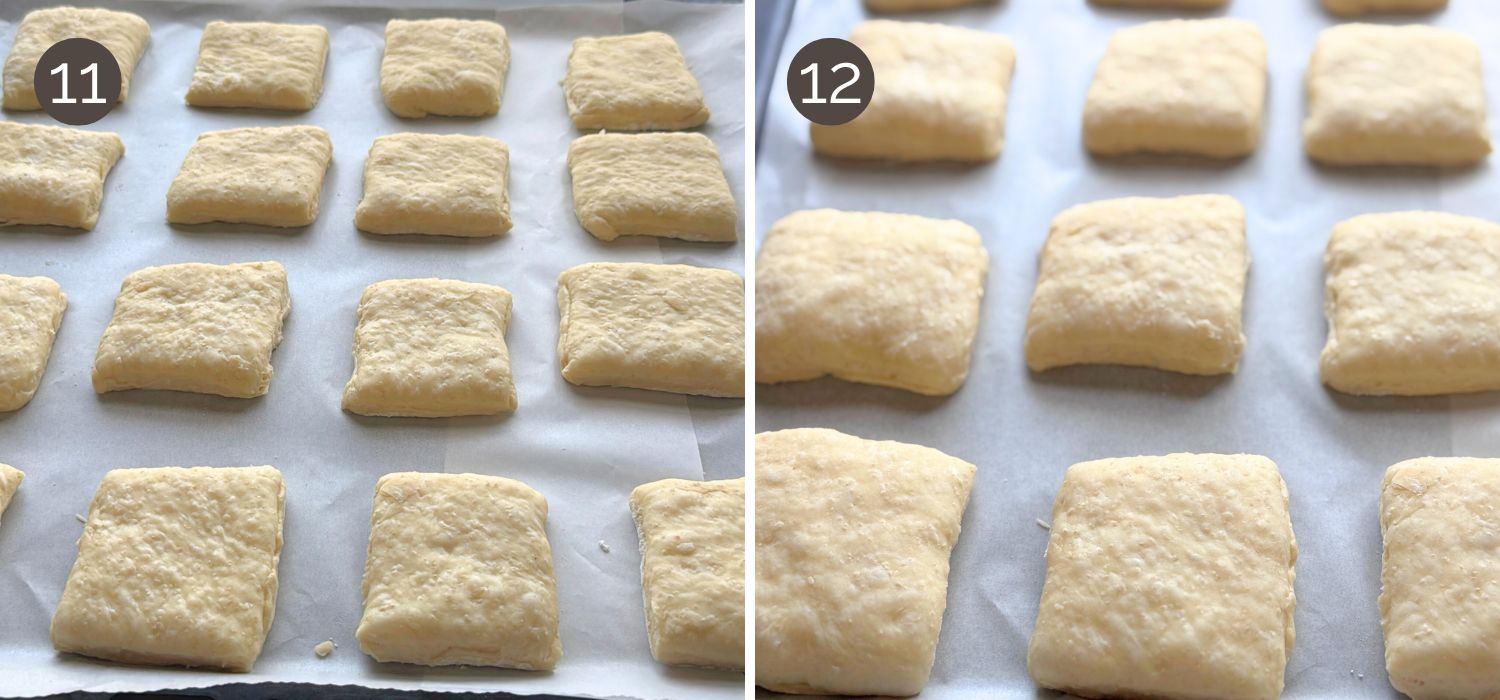 Cut dinner roll squares placed on a baking tray and rising before baking.