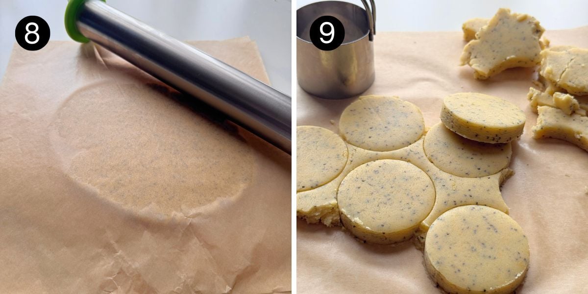 Rolling and cutting lemon poppy seed butter cookie dough between parchment paper