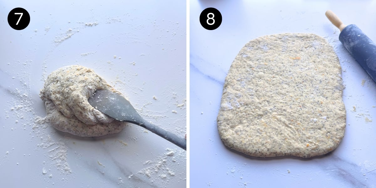 Dough turned out on surface and kneaded and rolled out